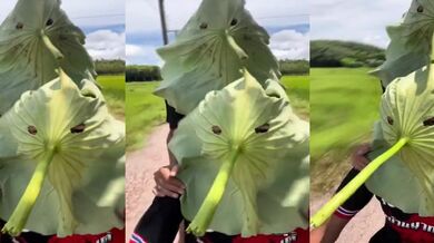 Halloweenské masky na motorku