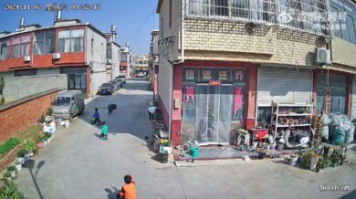 Divočák se zatoulal do města