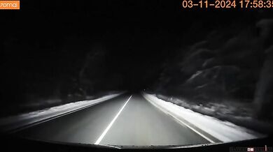 Řidič jen o fous unikl střetu