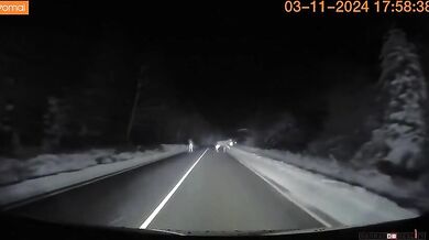 Řidič jen o fous unikl střetu