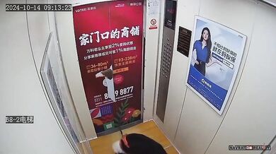 Pes měl velké štěstí