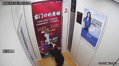 Pes měl velké štěstí