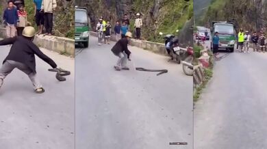 Profesionální krotitel hadů