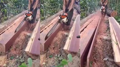 Dokonalé řezání dřeva