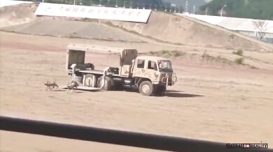 Čínská armáda testuje robotické psy