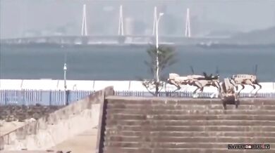 Čínská armáda testuje robotické psy