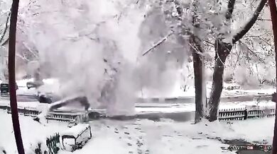 Chodkyně lehce zraněna pádem stromu