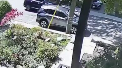 Automobil vs. cyklista