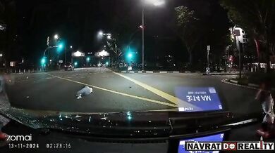 Srážka dívky na mobilu jdoucí na přechodu na červenou