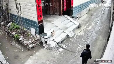 Karma pro chlapce ukazující psovi prostředníček