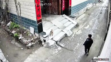 Karma pro chlapce ukazující psovi prostředníček