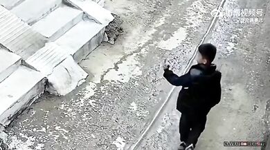 Karma pro chlapce ukazující psovi prostředníček