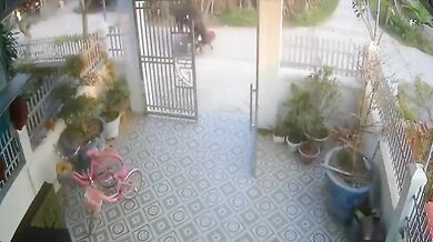 Býk zaútočil na skútraře