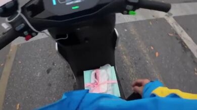 Převoz dortu nevyšel podle plánu