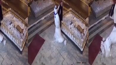 Karma pro ženu nesnášející sněhuláky