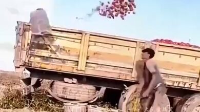 Dovednosti na pracovišti