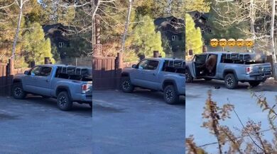 Na řidiče ve vozidle čekalo nečekané překvapení...