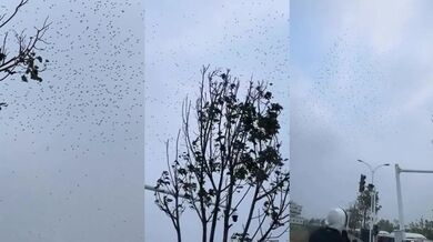 Nečekaný pád dronu během ohňostroje