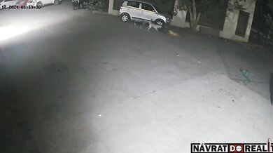 Útok pouličních psů