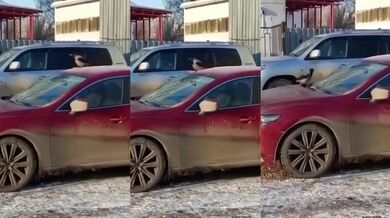 Vrána užívající si zimní radovánky