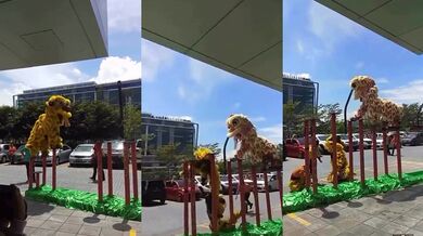 Čínský drak štěstí