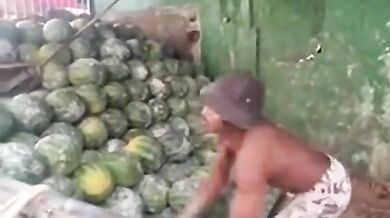 Profesionální melounař