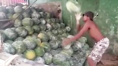 Profesionální melounař