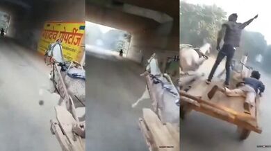 Nepovedené silniční dostihy