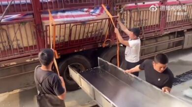 Nepovedená vykládka ryb