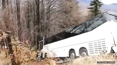 Profesionální řidič autobusu