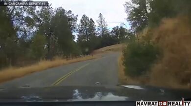 Divoká honička s ukradeným nákladním autem v Kalifornii