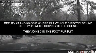 Divoká honička s ukradeným nákladním autem v Kalifornii