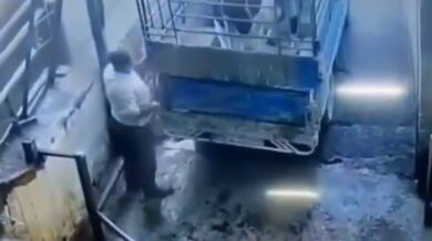 Tvrdá kopačka od krávy