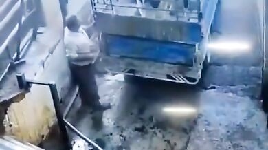 Tvrdá kopačka od krávy