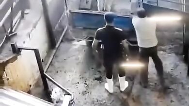 Tvrdá kopačka od krávy