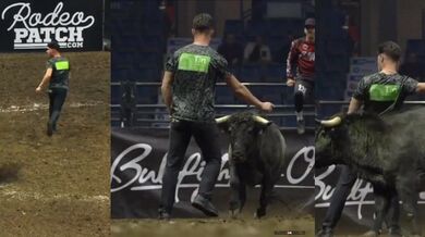 Jen o vlásek unikl ostrým rohům