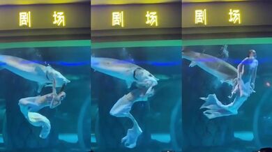 Obří ryba zaútočila na mořskou pannu v čínském akváriu