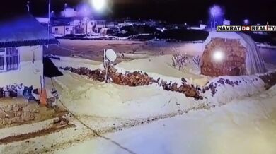 Anatolský pastevecký pes proti vlčí smečce