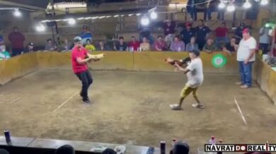 Bojový kohout zaútočil na svého majitele