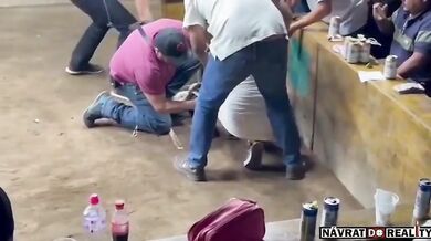 Bojový kohout zaútočil na svého majitele