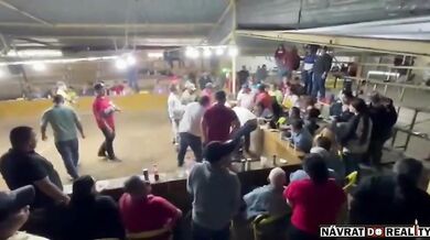 Bojový kohout zaútočil na svého majitele