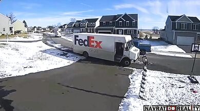 Doručovatele FedExu vylekal agresivní pes