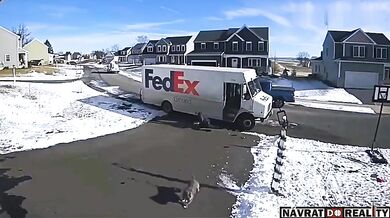 Doručovatele FedExu vylekal agresivní pes