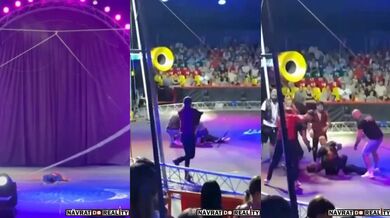 Tragická nehoda v ruském cirkusu: Akrobat zemřel po pádu z lanového kola