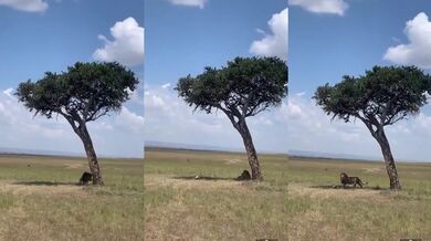 Když svačina spadne sama z nebe