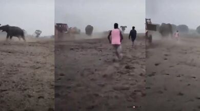 Rozzuřený divoký slon zaútočil na bagr v Indii