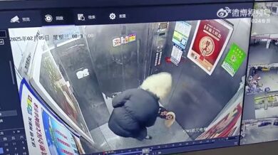 Uvízlé vodítko ve dveřích výtahu