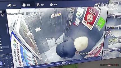 Uvízlé vodítko ve dveřích výtahu