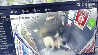 Uvízlé vodítko ve dveřích výtahu