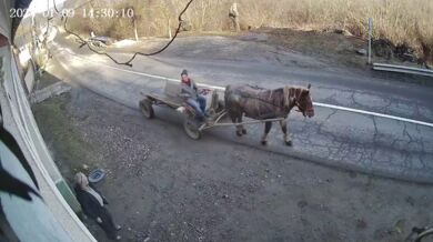 Řidič automobilu narazil do koně s povozem